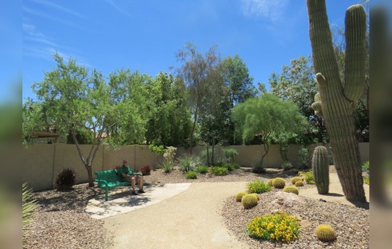 Mesa Rolls Out Incentive Program for Business and Residents to Adopt Water-Saving Landscaping