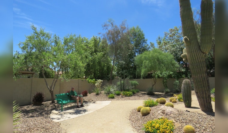 Mesa Rolls Out Incentive Program for Business and Residents to Adopt Water-Saving Landscaping