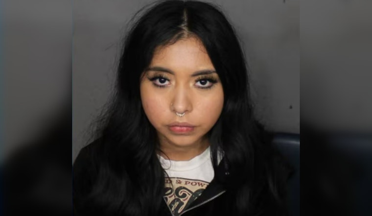 Mesa Woman Charged with Aggravated Assault of School Bus Driver in Altercation Over Alleged Comments