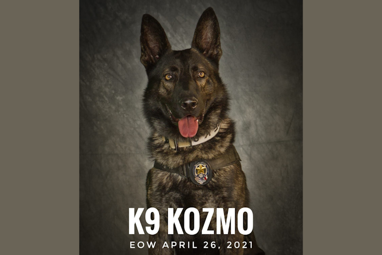 Mesquite Community and Police Honor K9 Officer Kozmo's Legacy on Third Anniversary of Line-of-Duty Death