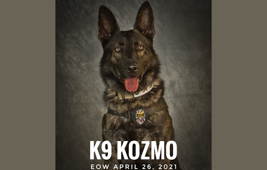 Mesquite Community and Police Honor K9 Officer Kozmo's Legacy on Third Anniversary of Line-of-Duty Death