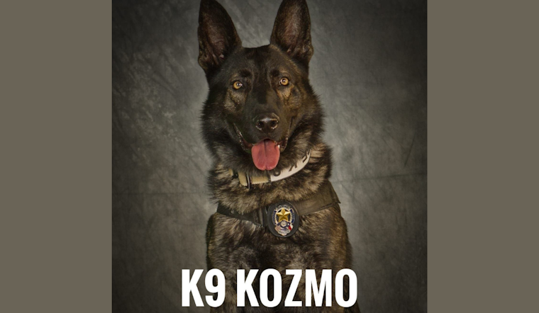 Mesquite Community and Police Honor K9 Officer Kozmo's Legacy on Third Anniversary of Line-of-Duty Death