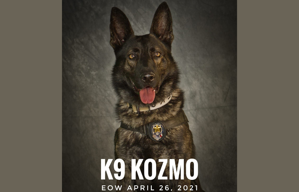 Mesquite Community and Police Honor K9 Officer Kozmo's Legacy on Third Anniversary of Line-of-Duty Death