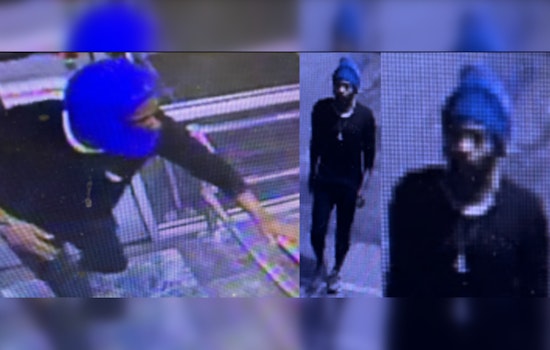 Metropolitan Police Seek Public's Help to Find Suspect in Early Morning Northeast Burglary