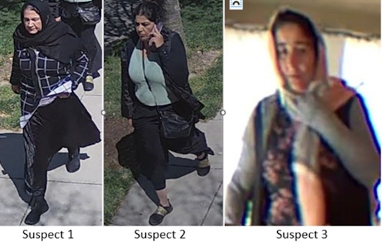 Metropolitan Police Seek Public's Help to Identify Suspects in Northwest DC Burglary