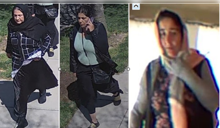 Metropolitan Police Seek Public's Help to Identify Suspects in Northwest DC Burglary