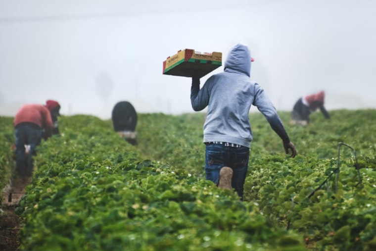 Miami-Dade County OHP Initiates Study to Honor South Florida's Migrant Farmworker History