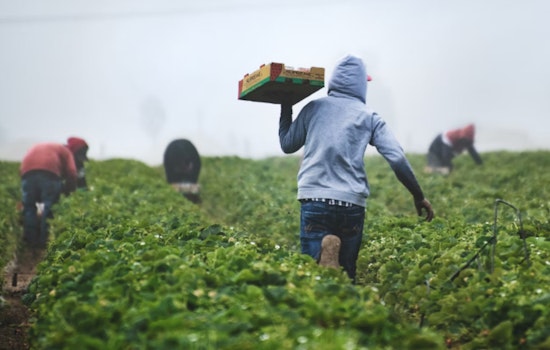 Miami-Dade County OHP Initiates Study to Honor South Florida's Migrant Farmworker History