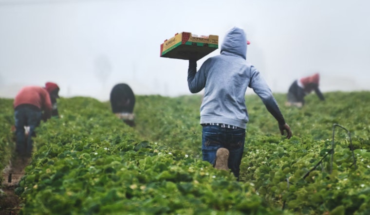 Miami-Dade County OHP Initiates Study to Honor South Florida's Migrant Farmworker History