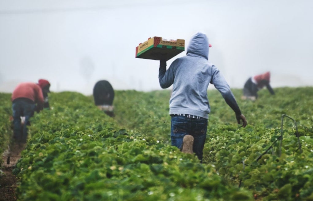 Miami-Dade County OHP Initiates Study to Honor South Florida's Migrant Farmworker History
