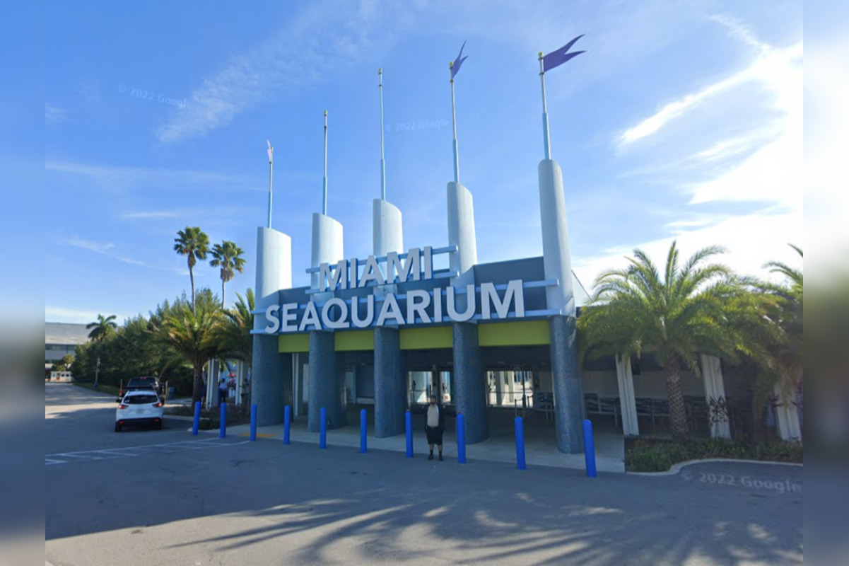 Miami-dade County Serves Eviction Notice To Dolphin Company At Miami