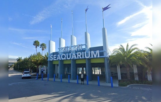 Miami-Dade County Serves Eviction Notice to Dolphin Company at Miami Seaquarium Amid Animal Welfare Dispute