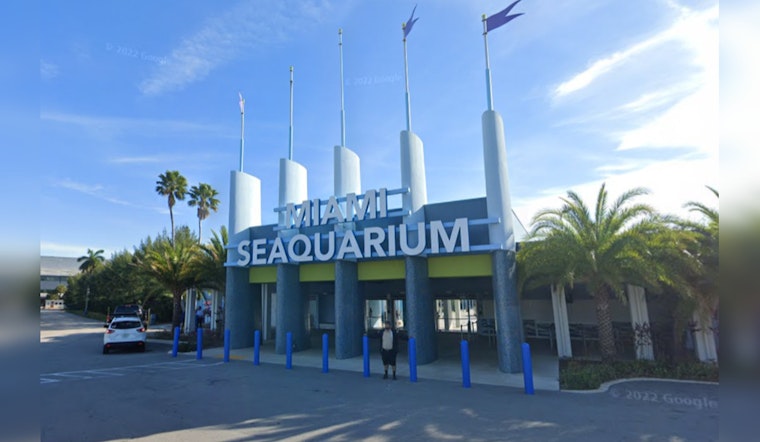 Miami-Dade County Serves Eviction Notice to Dolphin Company at Miami Seaquarium Amid Animal Welfare Dispute