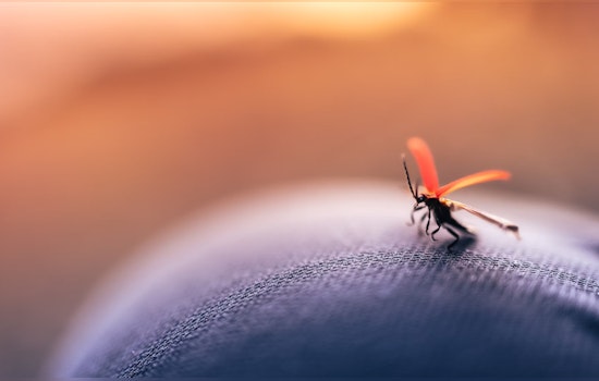 Miami-Dade County Steps Up Mosquito Control Efforts as Spring Arrives
