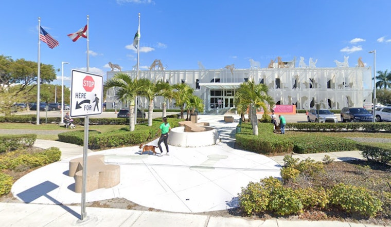 Miami-Dade Shelter's Injured Dog Mello Set for Surgery after Shooting Incident in Doral