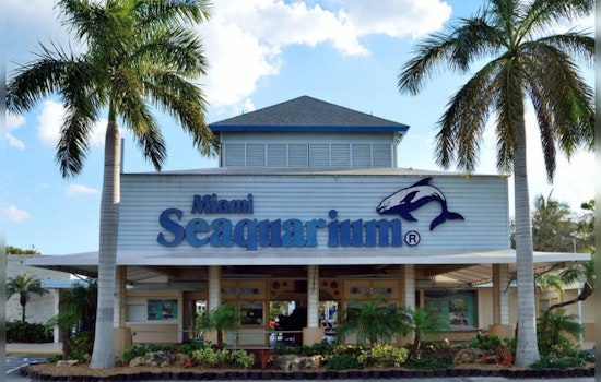 Miami Seaquarium Continues Operations Despite Lease Termination, Protestors and Officials Urge Closure