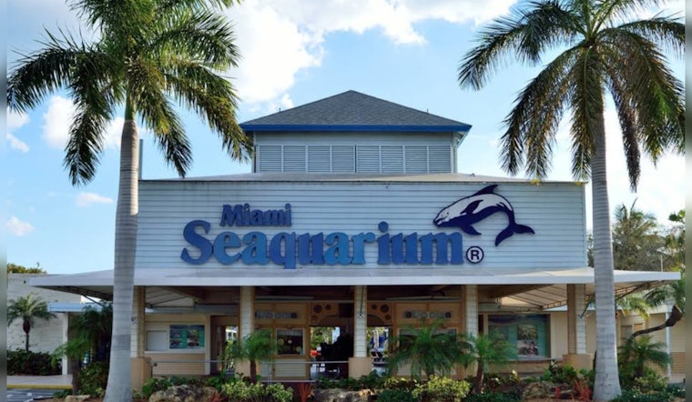 Miami Seaquarium Continues Operations Despite Lease Termination, Protestors and Officials Urge Closure