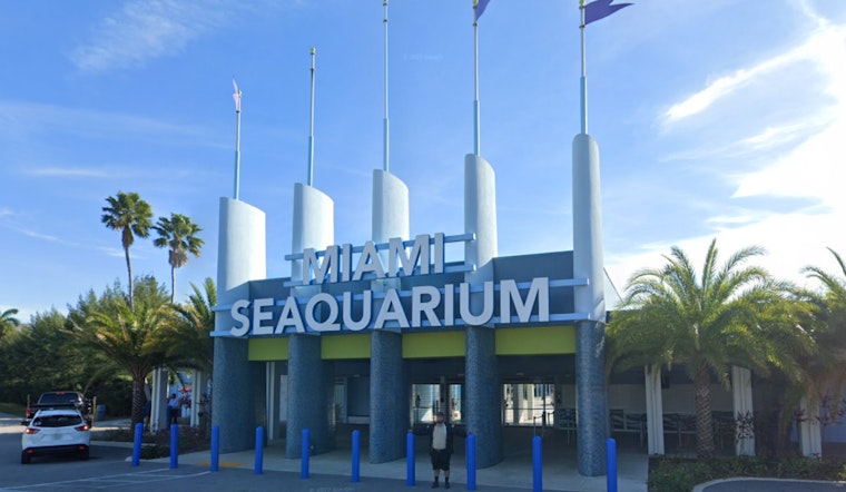 Miami Seaquarium's Troubles Deepen as Sea Lion Bud Dies Ahead of USDA Confiscation