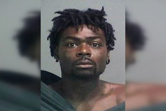 Michigan Court of Appeals Upholds Flint Man's Conviction in 2019 Triple Homicide Despite Pandemic Delay Claims