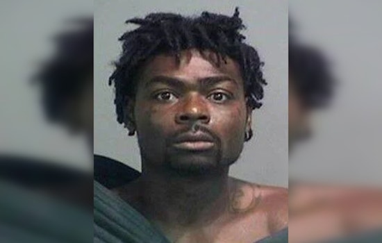 Michigan Court of Appeals Upholds Flint Man's Conviction in 2019 Triple Homicide Despite Pandemic Delay Claims