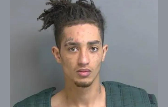 Michigan Man Charged with Weapon and Drug Offenses Following Erratic Behavior in Washington Township