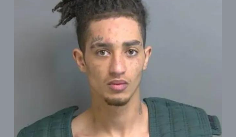 Michigan Man Charged with Weapon and Drug Offenses Following Erratic Behavior in Washington Township