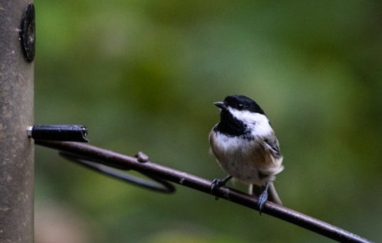 Minneapolis City Unveils May and June Outdoor Activities for Nature Enthusiasts of All Ages