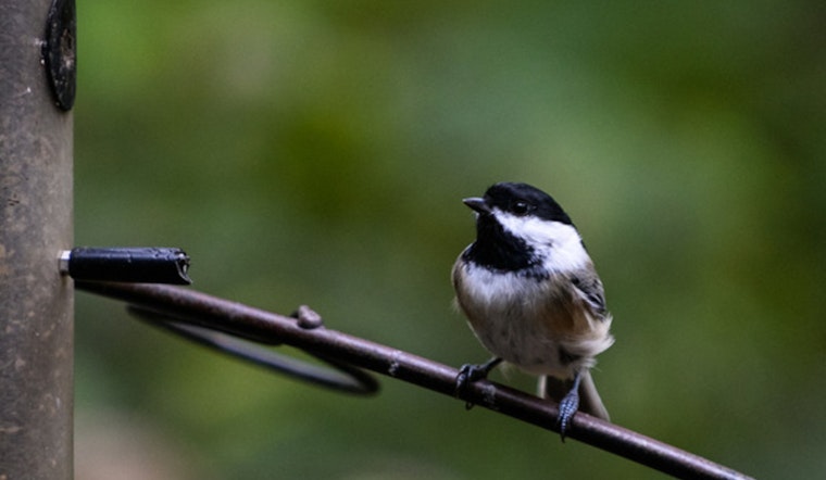 Minneapolis City Unveils May and June Outdoor Activities for Nature Enthusiasts of All Ages