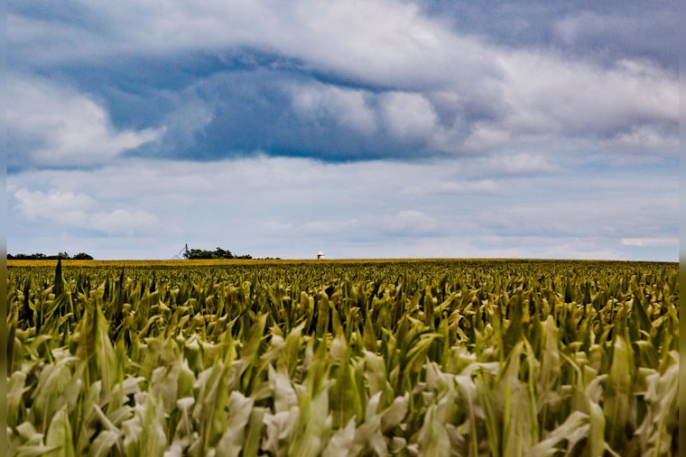 Minnesota Senate Passes Major Agriculture Policy Bill With Bipartisan Support