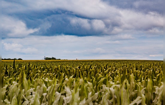 Minnesota Senate Passes Major Agriculture Policy Bill With Bipartisan Support