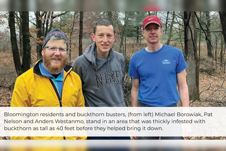 Minnesota Volunteers Lead Battle Against Invasive Buckthorn in Bloomington's Hyland Park