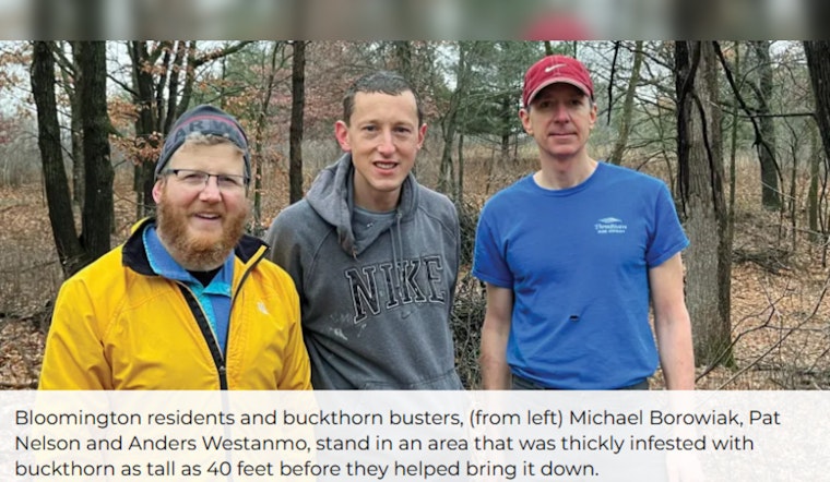 Minnesota Volunteers Lead Battle Against Invasive Buckthorn in Bloomington's Hyland Park