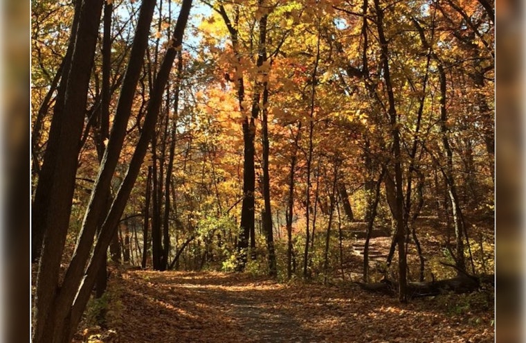 Minnetonka Partners with University of Minnesota to Train Volunteer Tree Stewards on May 4