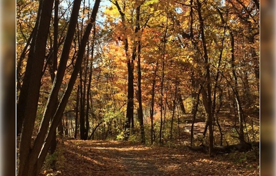 Minnetonka Partners with University of Minnesota to Train Volunteer Tree Stewards on May 4
