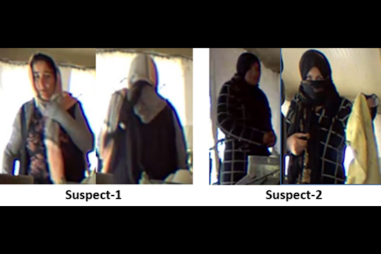 MPD Seeks Public Assistance to Identify Suspects in Northwest Residential Burglary