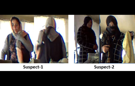 MPD Seeks Public Assistance to Identify Suspects in Northwest Residential Burglary