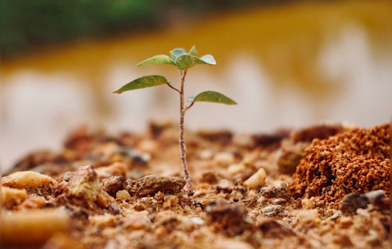 Nashville Mayor O'Connell Marks Arbor Day with Ambitious Tree Canopy Expansion Order
