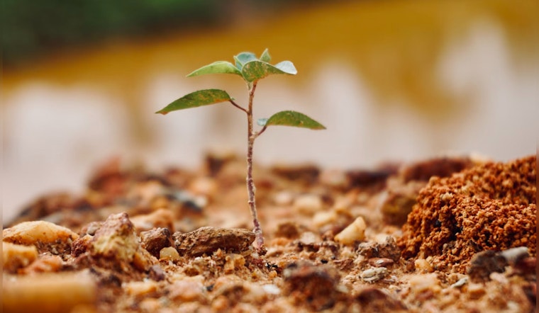 Nashville Mayor O'Connell Marks Arbor Day with Ambitious Tree Canopy Expansion Order