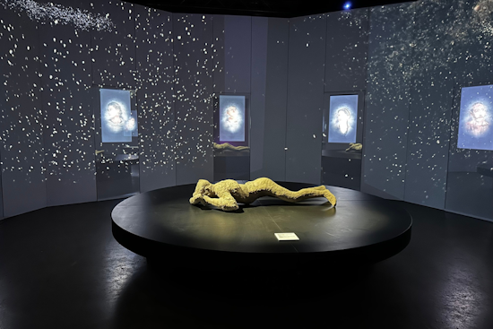 New Arlington Museum of Art Debuts in the Entertainment District with Dynamic Exhibits on Pompeii and Climate Change