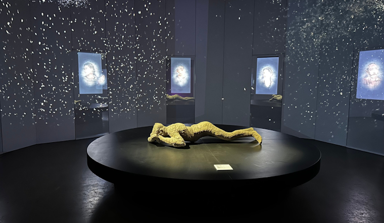 New Arlington Museum of Art Debuts in the Entertainment District with Dynamic Exhibits on Pompeii and Climate Change