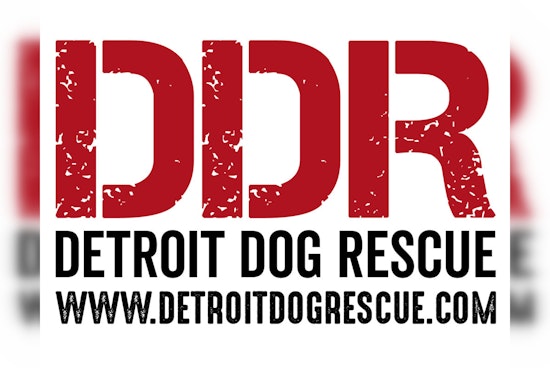 NFL Draft Stage Reimagined, Detroit Dog Rescue to Build Clinic with Donated Materials