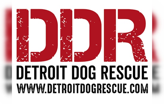 NFL Draft Stage Reimagined, Detroit Dog Rescue to Build Clinic with Donated Materials