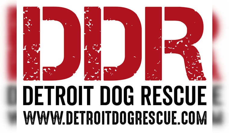 NFL Draft Stage Reimagined, Detroit Dog Rescue to Build Clinic with Donated Materials