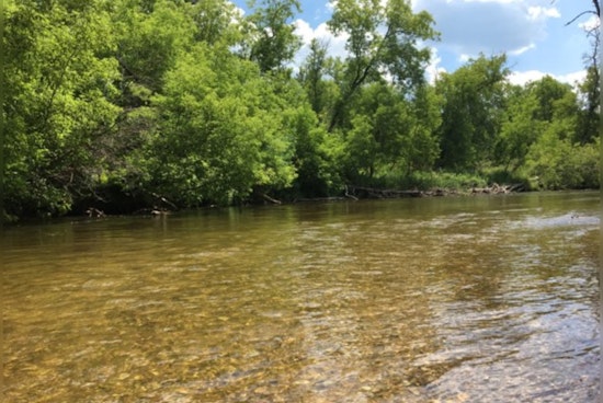 Northern Michigan Community Mourns as 4-Year-Old Boy Tragically Drowns in Sturgeon River