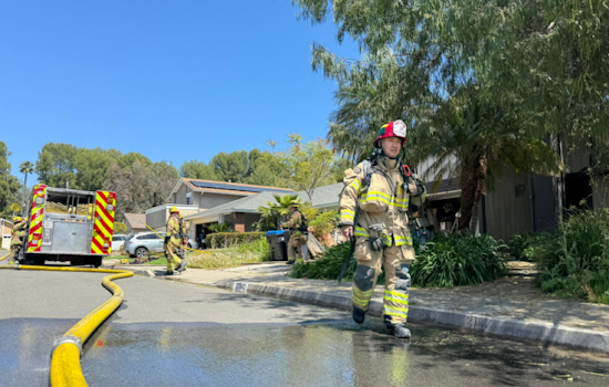 OCFA Firefighters Quickly Contain Mission Viejo Blaze, Rescue Homeowner's Dog