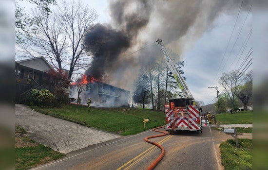 One Person and Two Dogs Die in Wind-Fueled Halls House Fire; Cause Under Investigation