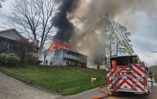 One Person and Two Dogs Perish in Devastating Halls House Fire, Investigation Underway