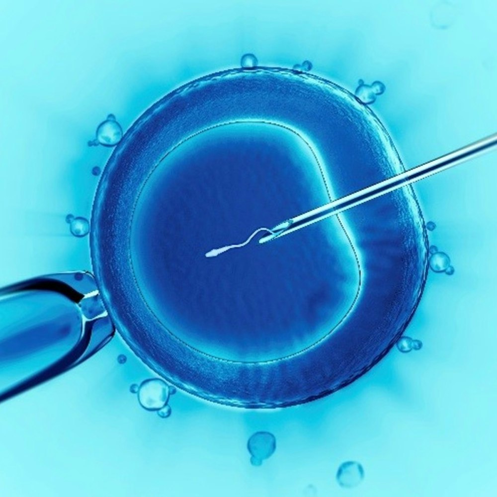 Orange County IVF Clinic Accused by Couples of Destroying Embryo Viability in Laboratory Mishap