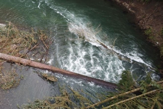 Oregon Boaters Warned of Navigational Hazards Amidst Storms and Fallen Trees