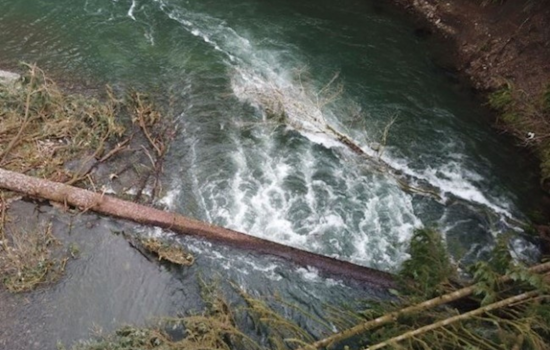 Oregon Boaters Warned of Navigational Hazards Amidst Storms and Fallen Trees